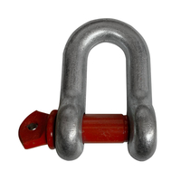 US Type D Type Screw Pin Shackle