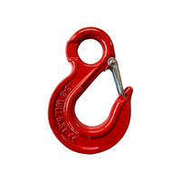 G80 European Type Eye Sling Hook with Latch